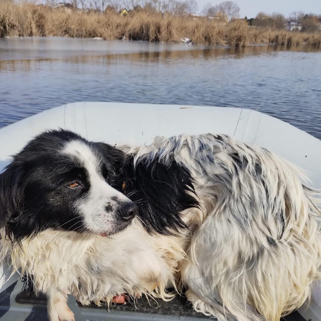 627481604_1242150108070124_3780296942710497855_n