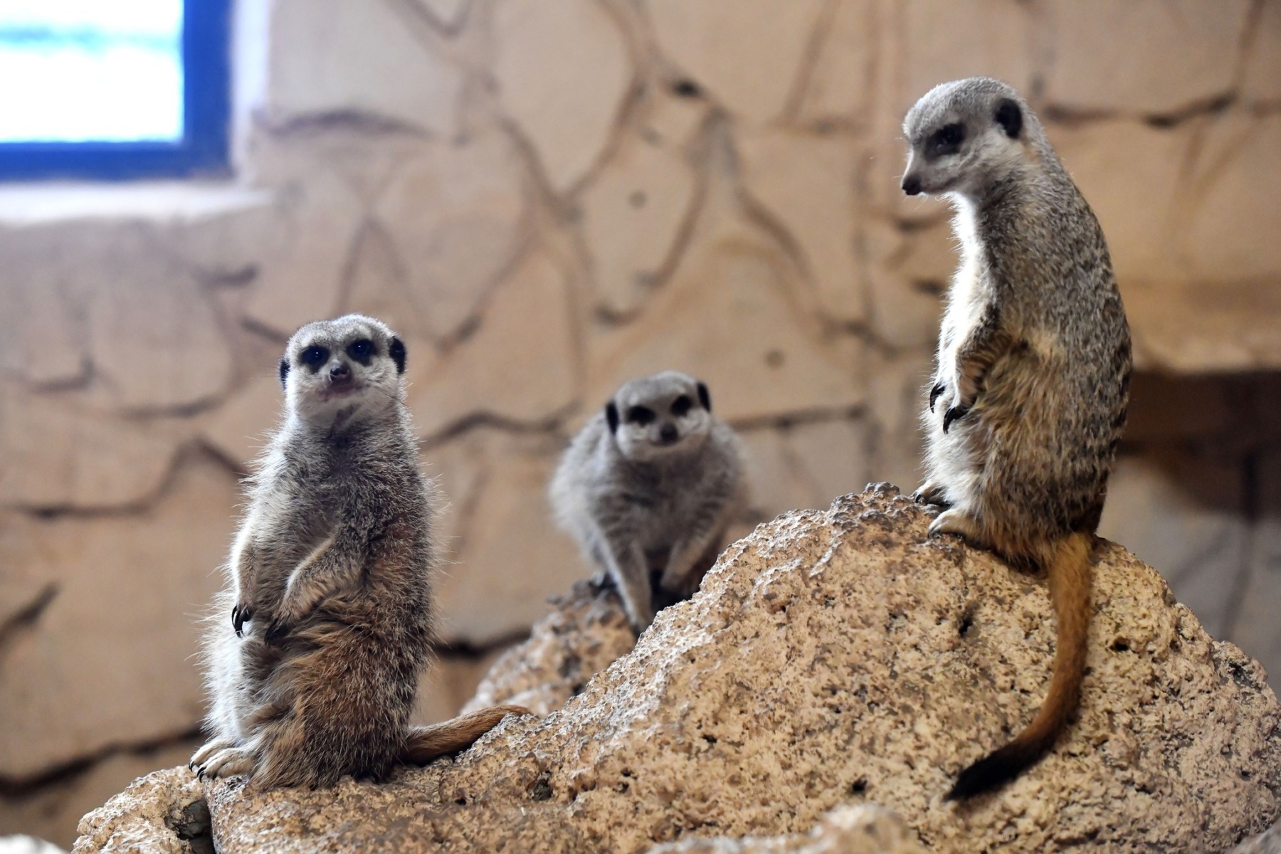 627677104_1239693235005045_5634197937689110301_n