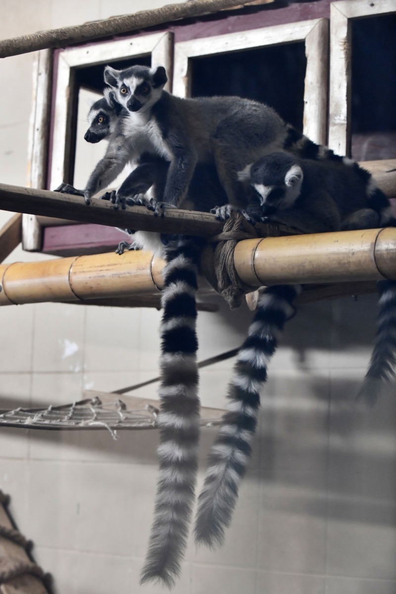 627688878_1239694918338210_317051237738713523_n