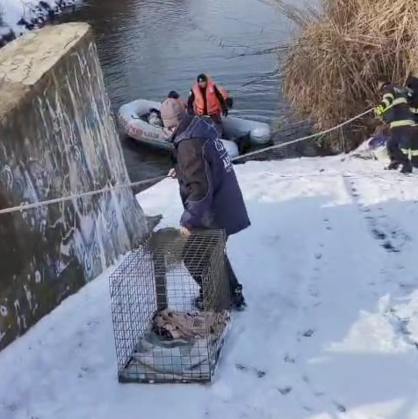 627772951_1242150098070125_6423612840107670529_n