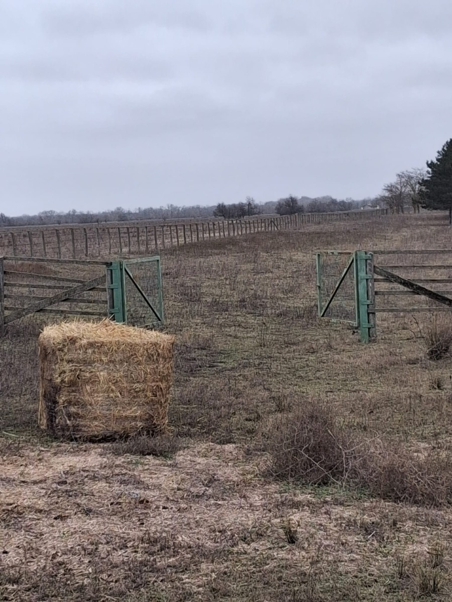 628053944_1305391434953474_1025979947378491054_n