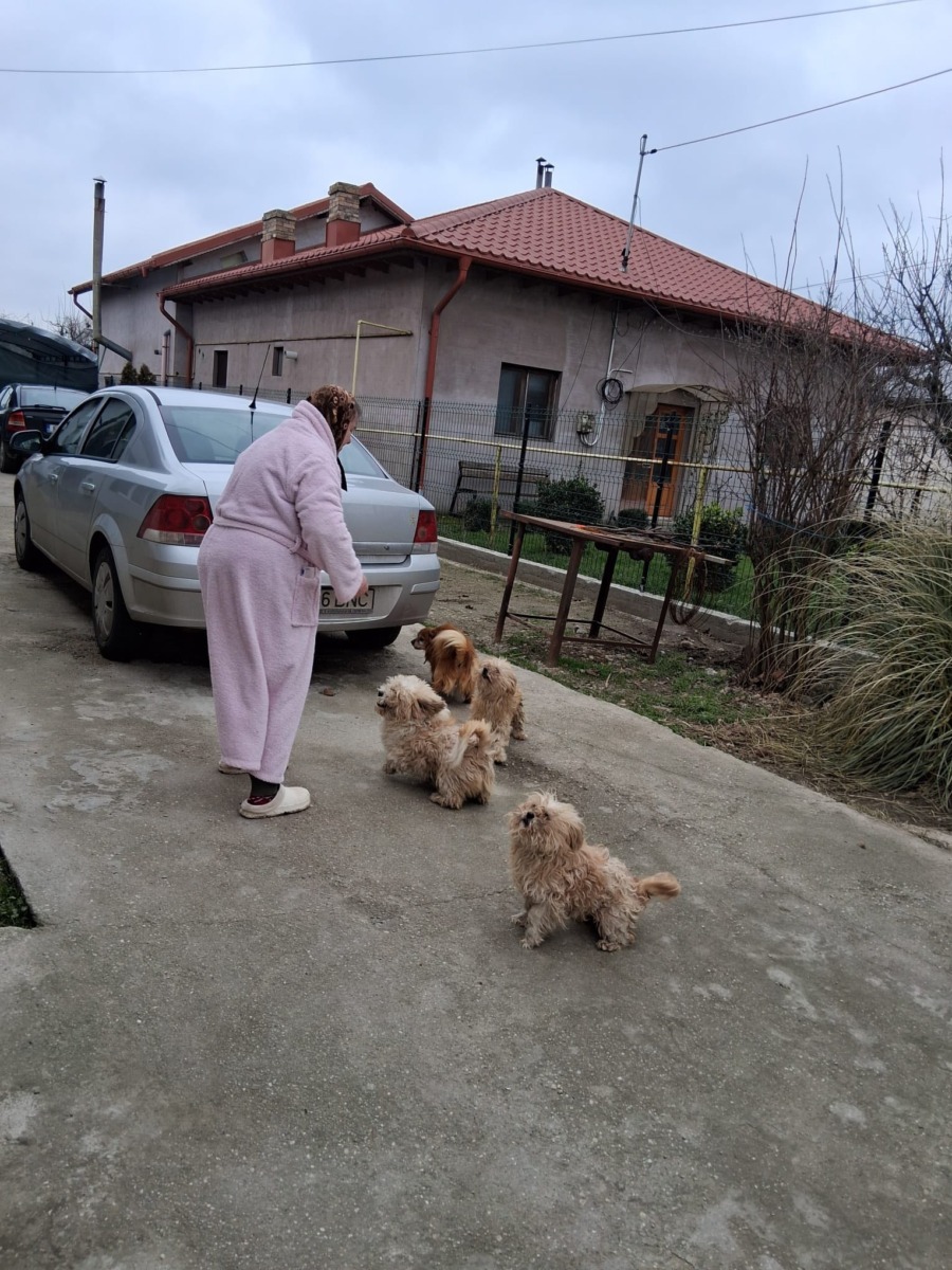 628239827_920377613692198_4779220465713100023_n