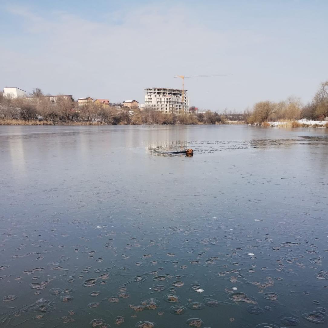 628357107_1242150101403458_2227782725693667129_n