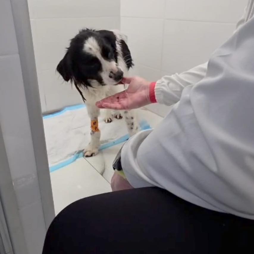 628460783_1242150081403460_3192847923572742662_n