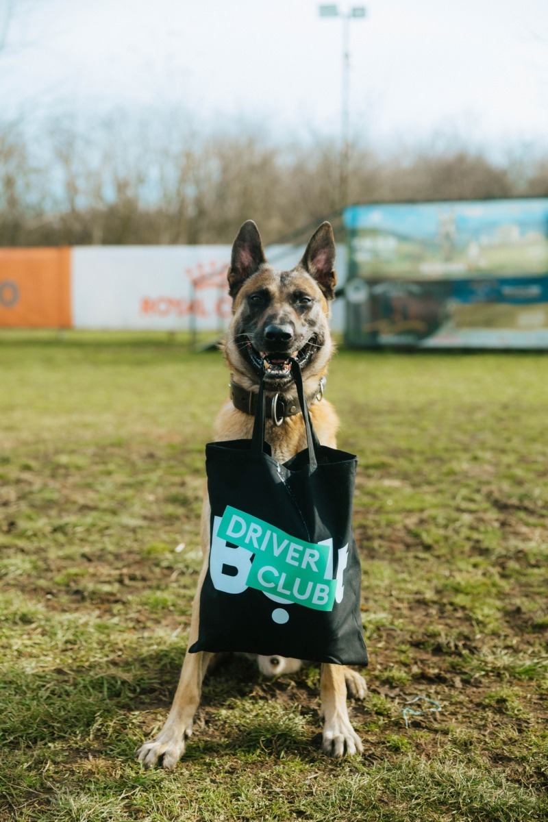 628471003_1300401668779279_7584750097788328992_n