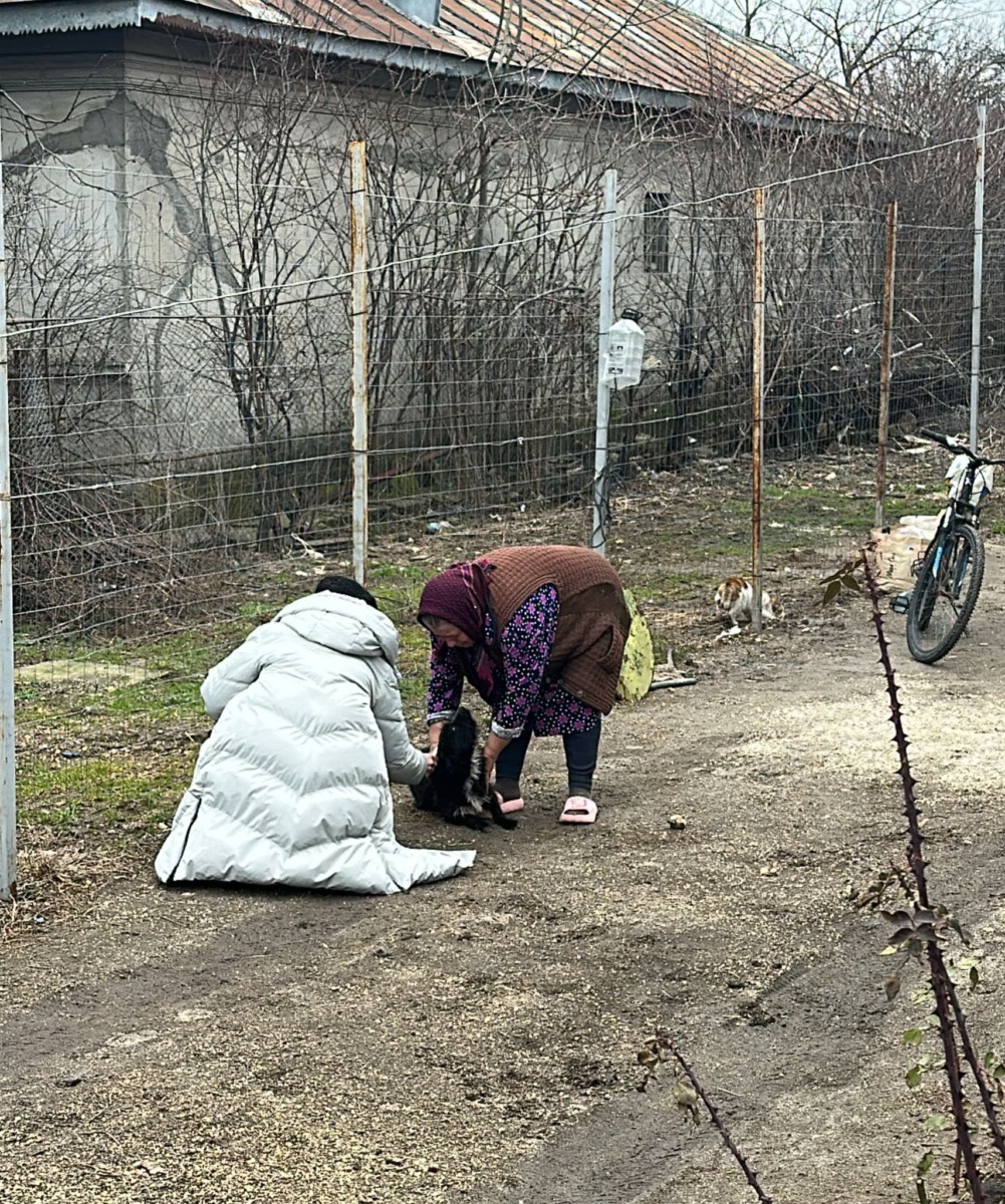 629315705_920377657025527_6378920125710642074_n