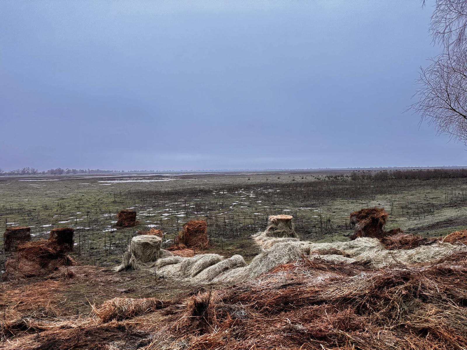 629787332_912741607918094_7395471660126514204_n