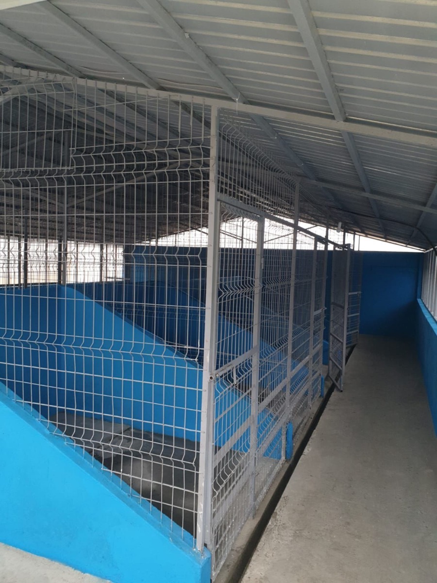 630232313_1369403815201018_2807884883495763295_n