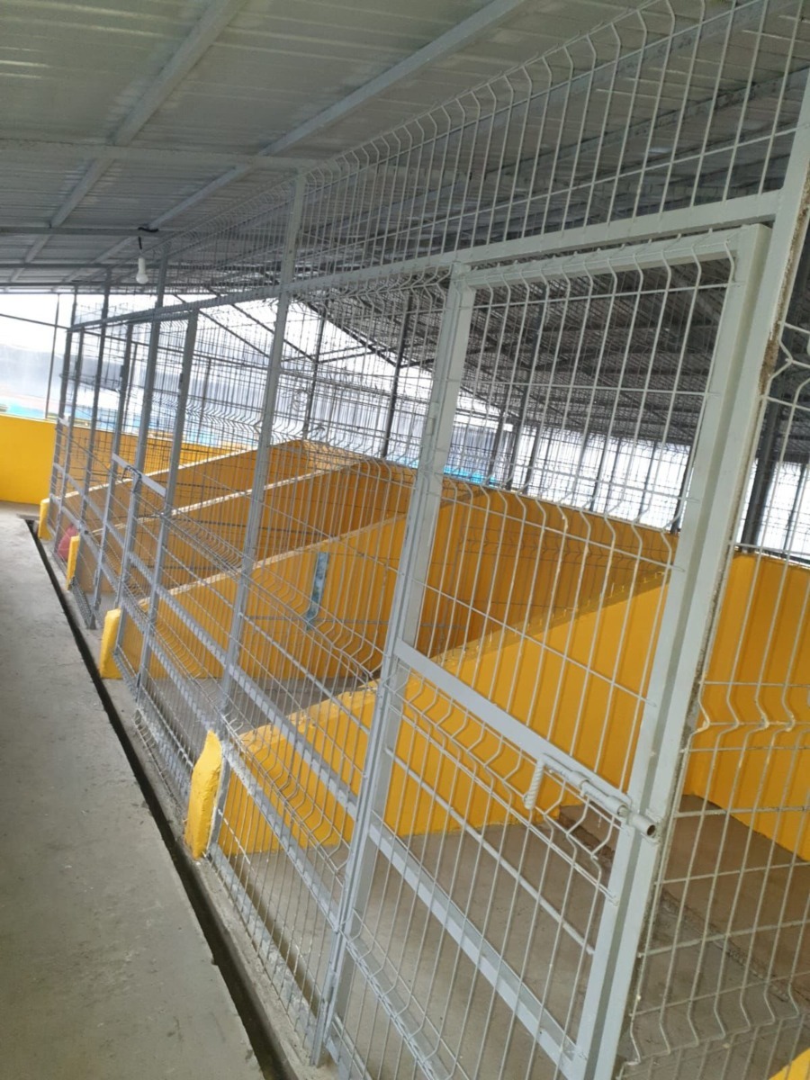 630258126_1369403921867674_3006662555052083821_n