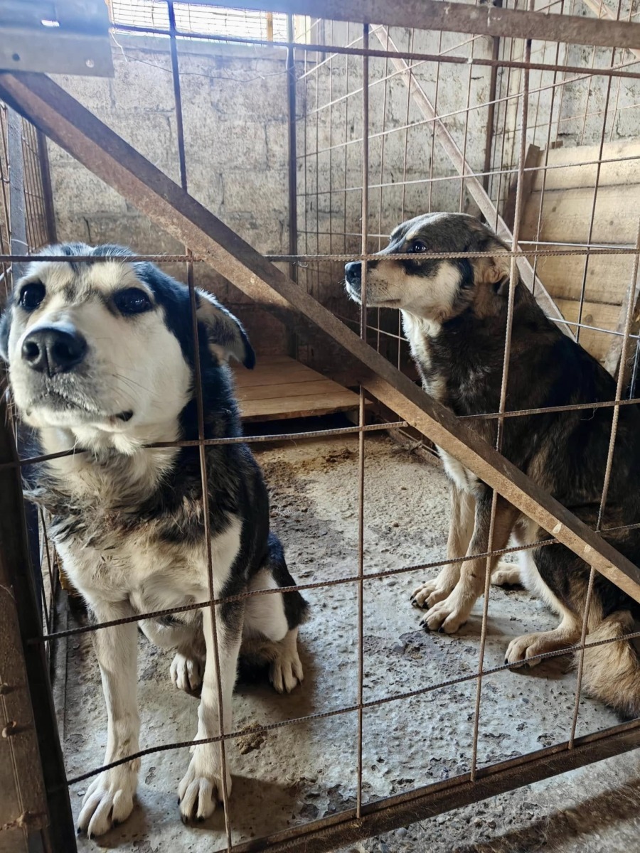 632542052_26409186358694445_5310134756091081925_n