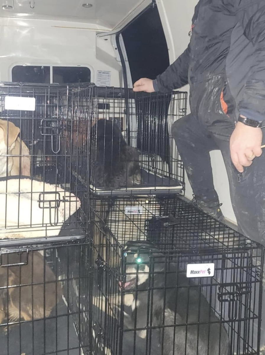 633390987_26409187182027696_6693274397158504103_n