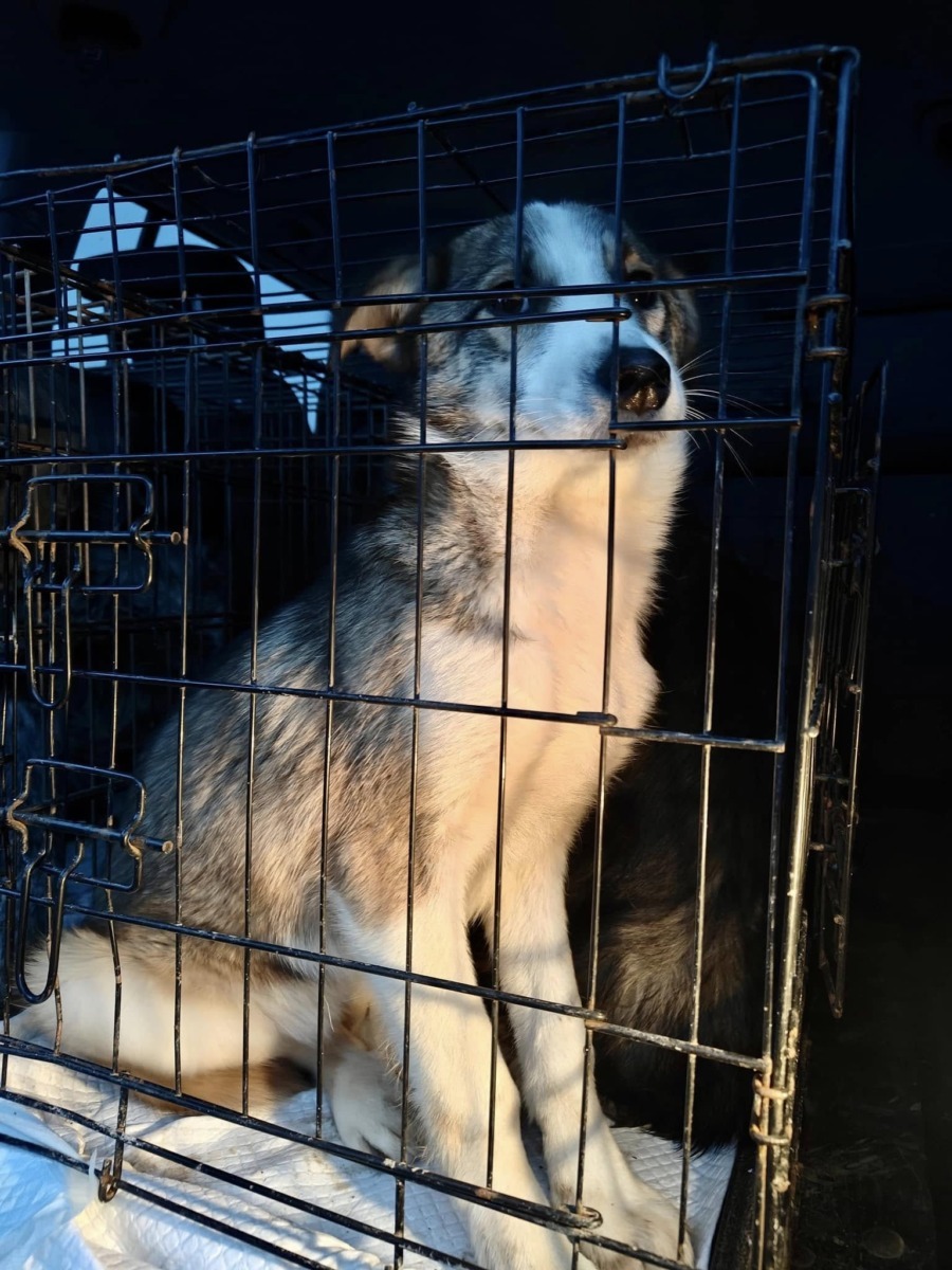 634015772_26409187655360982_3394463802664532081_n