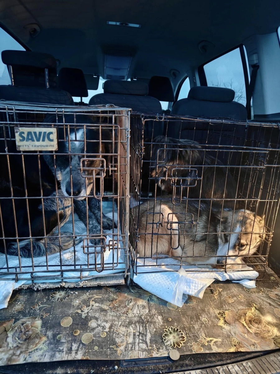 635095683_26409187095361038_99208562542744274_n