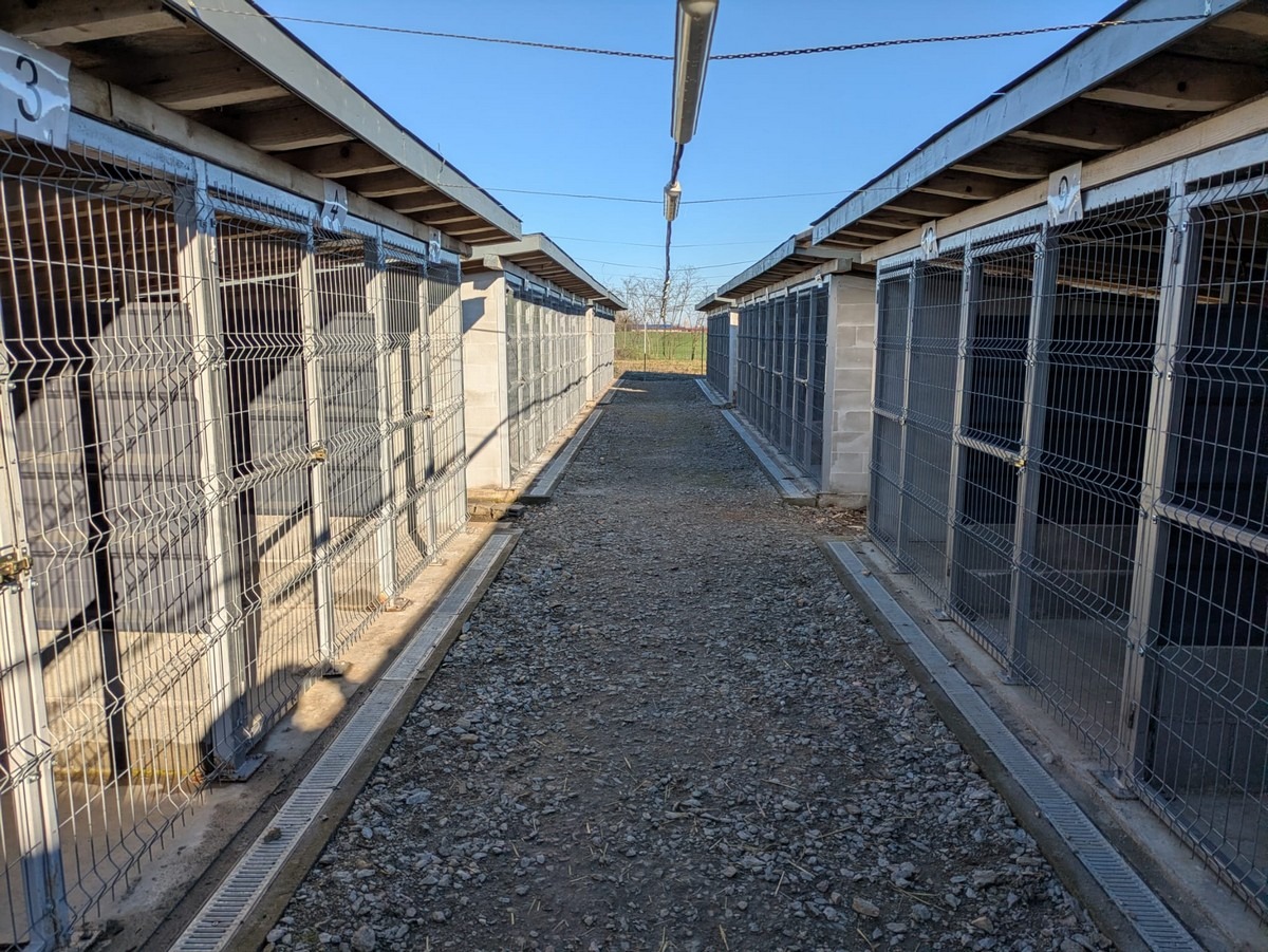 641628183_960256323333530_7949089471644204298_n