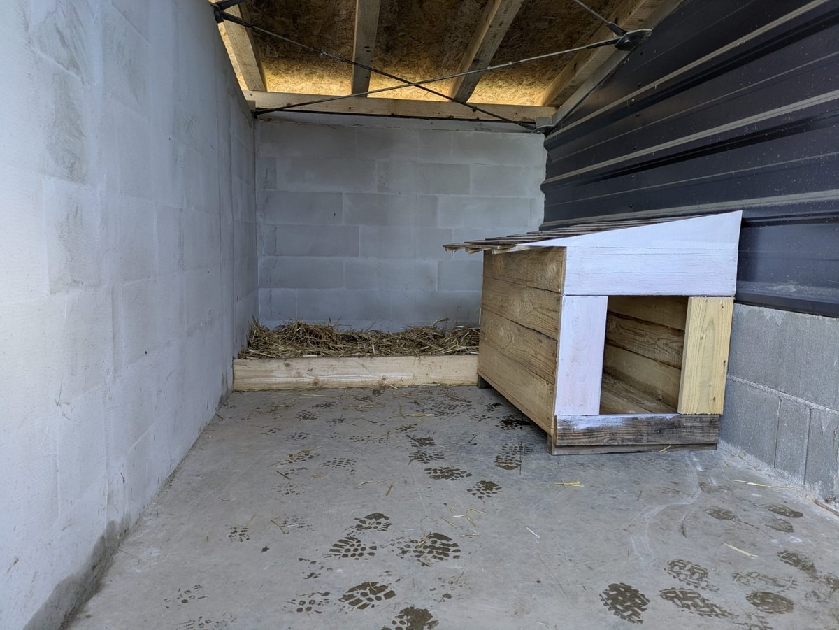 642847252_960256390000190_8981422536660986028_n