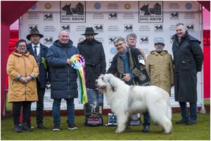 Câștigătorii competiției Bistritzer Burg Dog Show în 2025