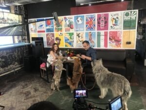 Actorii George Constantinescu și Gabriela Marin pe platoul de filmare, alături de căței