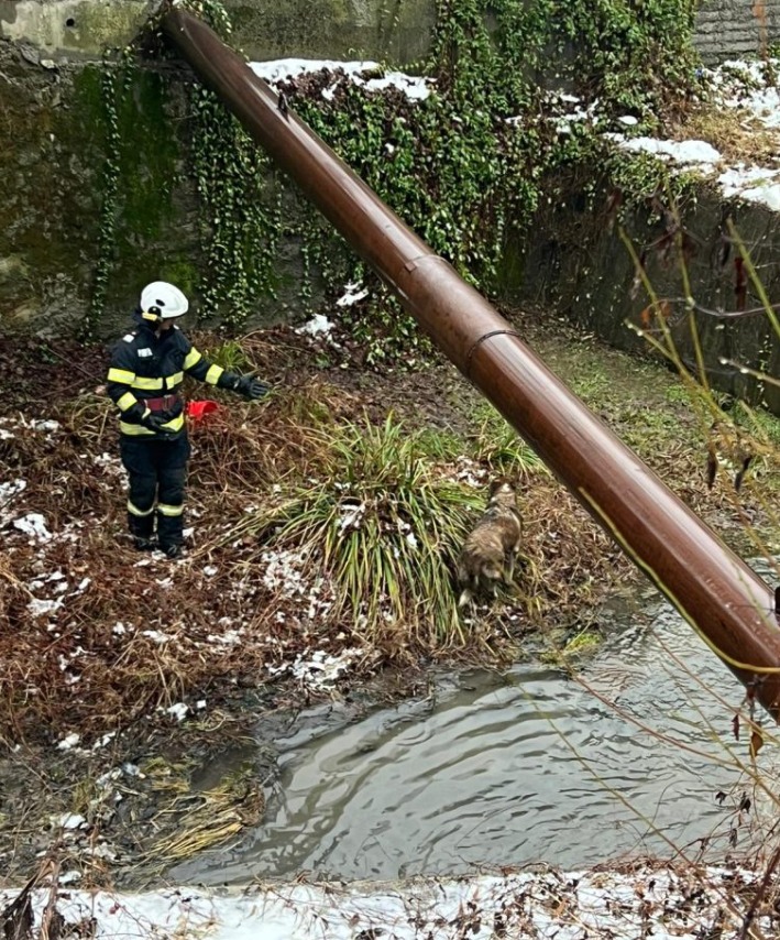 Screenshot 2026-02-06 140457