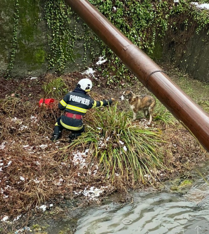 Screenshot 2026-02-06 140503