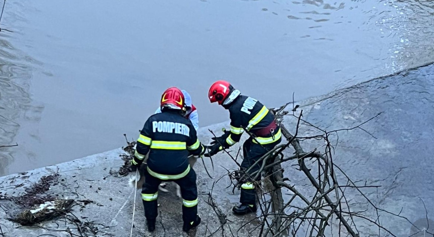 Screenshot 2026-02-06 140518