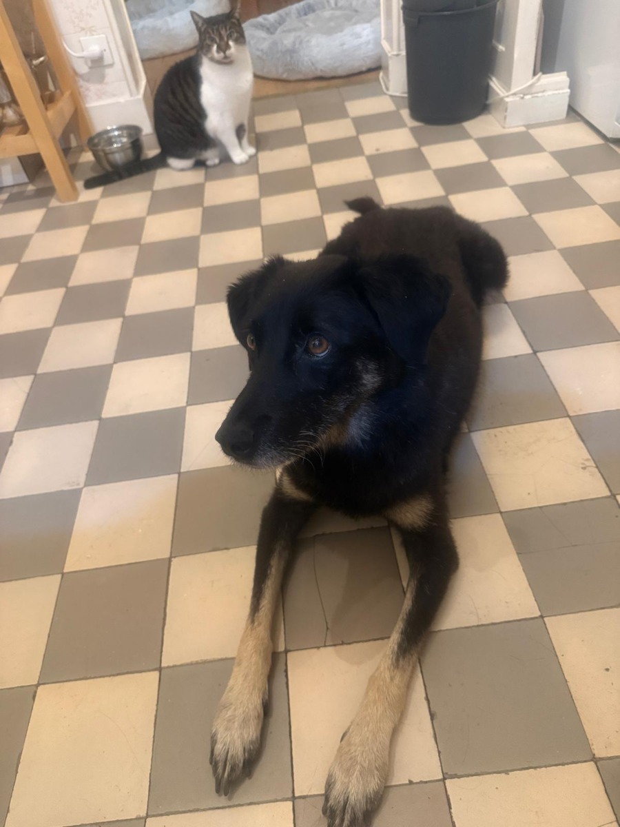 WhatsApp Image 2026-02-16 at 17.39.16 (1)