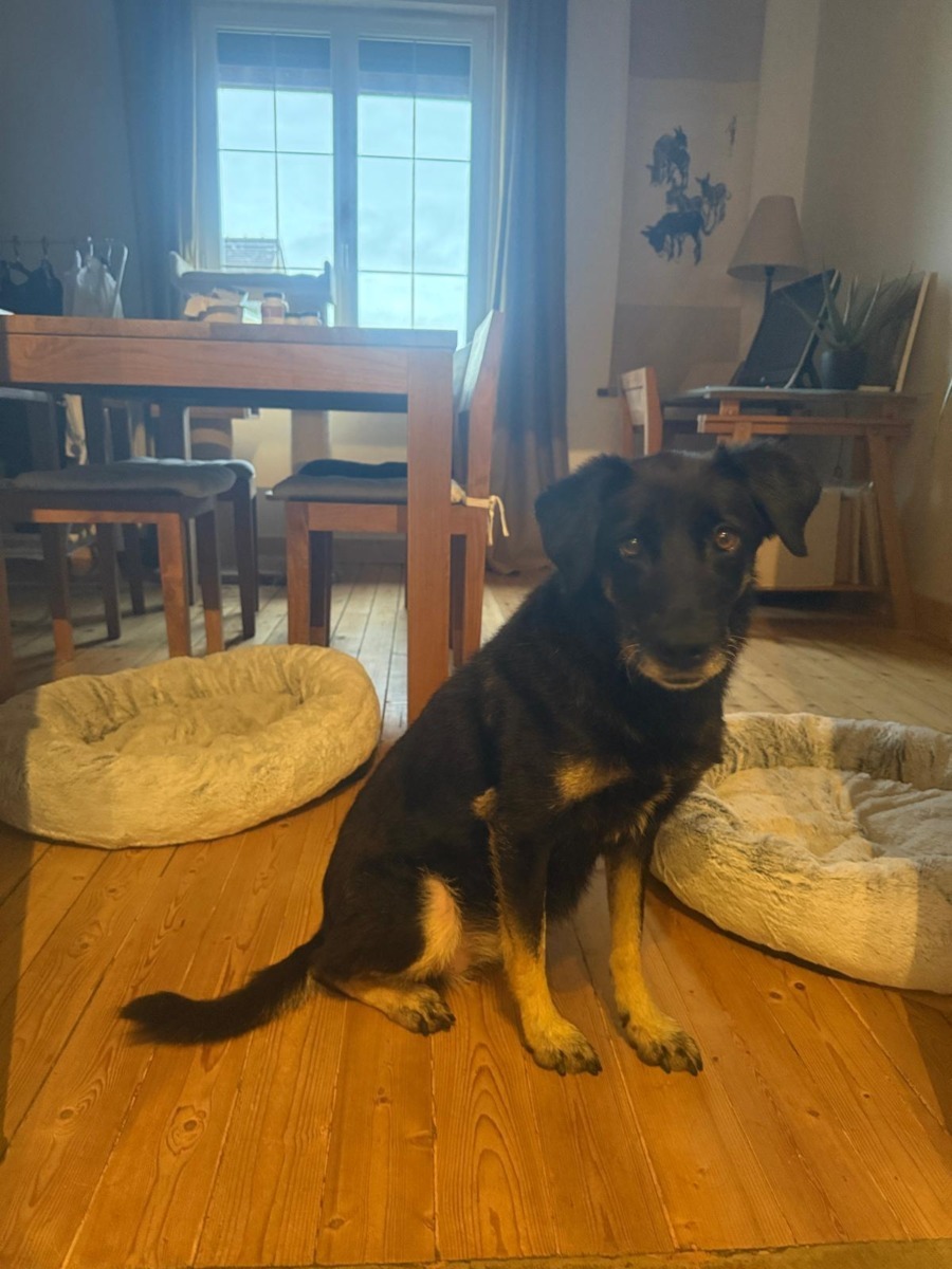 WhatsApp Image 2026-02-16 at 17.39.16 (2)