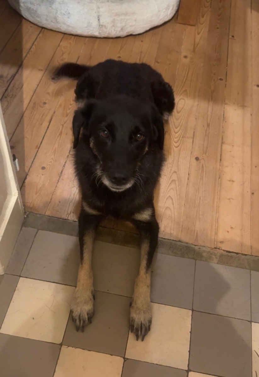 WhatsApp Image 2026-02-16 at 17.39.16 (3)