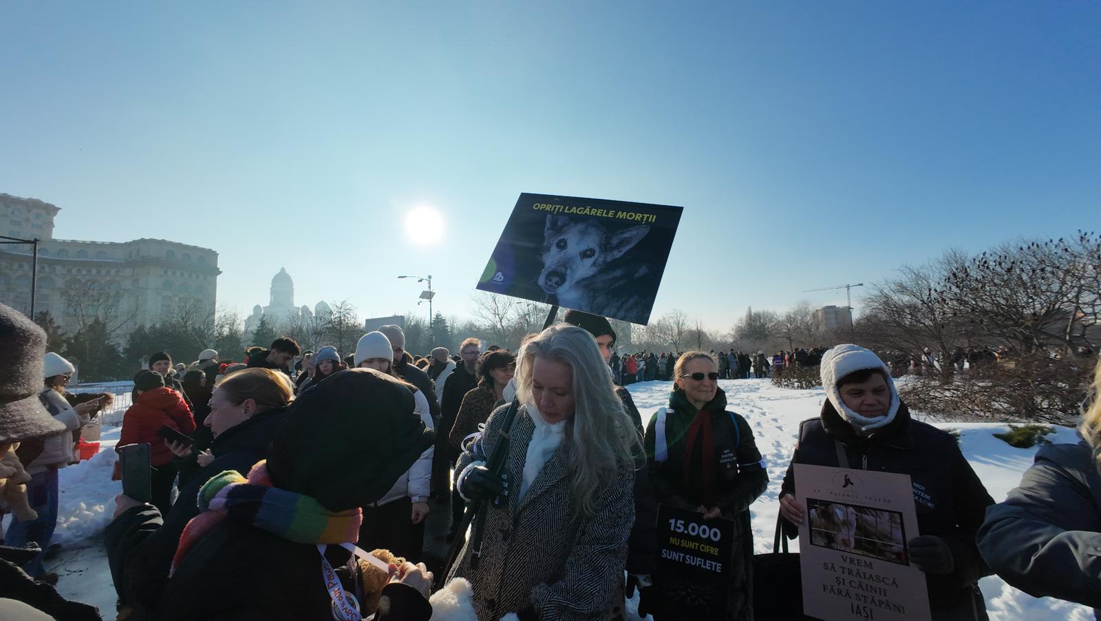 WhatsApp Image 2026-02-22 at 16.21.09