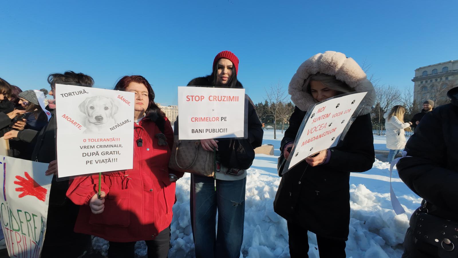 WhatsApp Image 2026-02-22 at 16.21.11