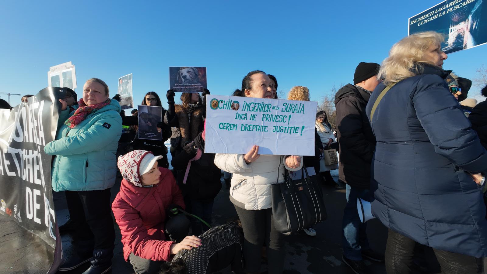 WhatsApp Image 2026-02-22 at 16.21.13