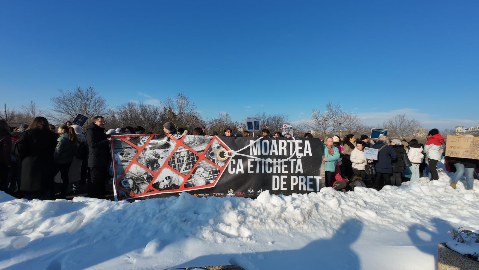 WhatsApp Image 2026-02-22 at 16.21.14