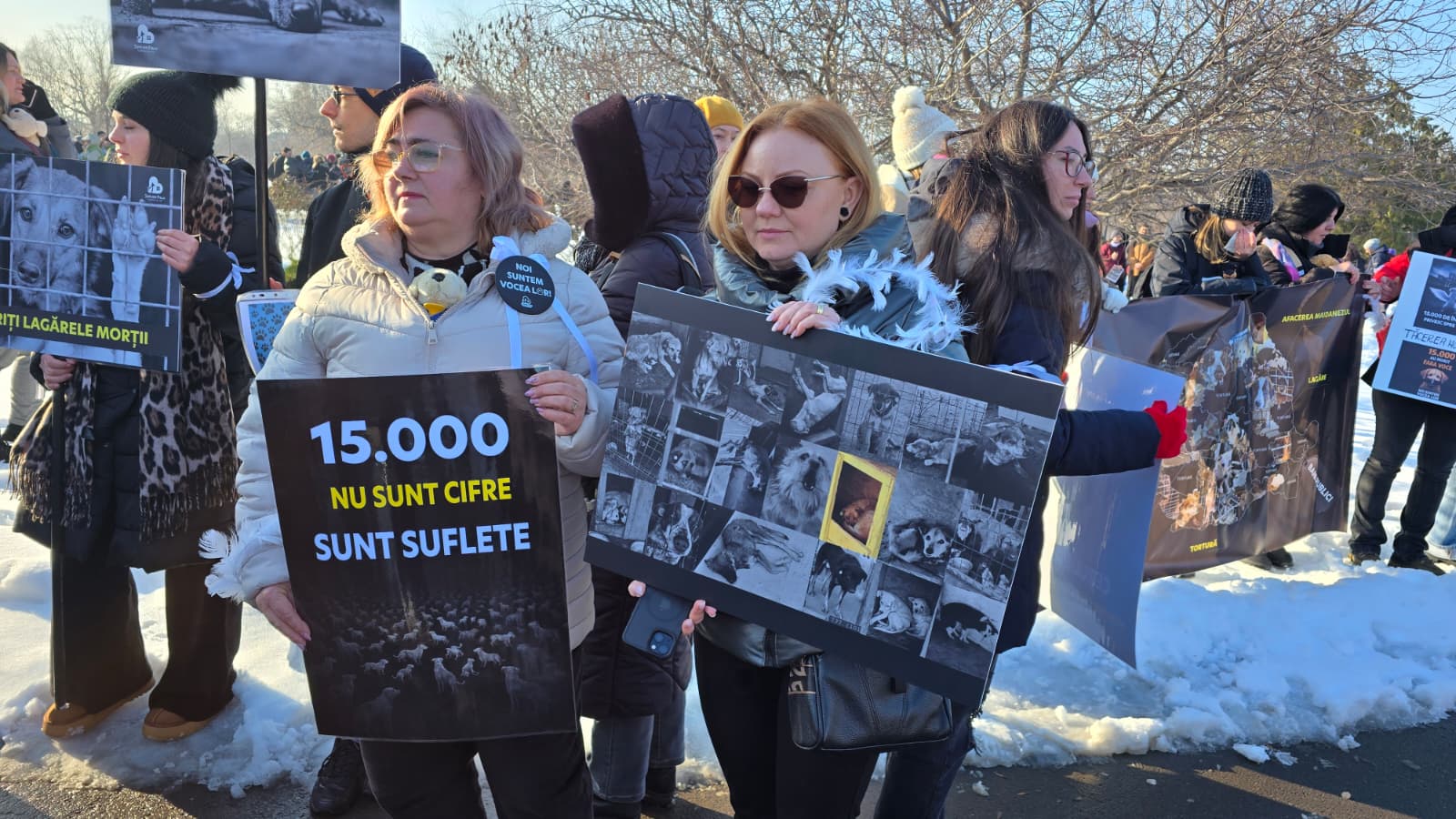 WhatsApp Image 2026-02-22 at 16.22.25