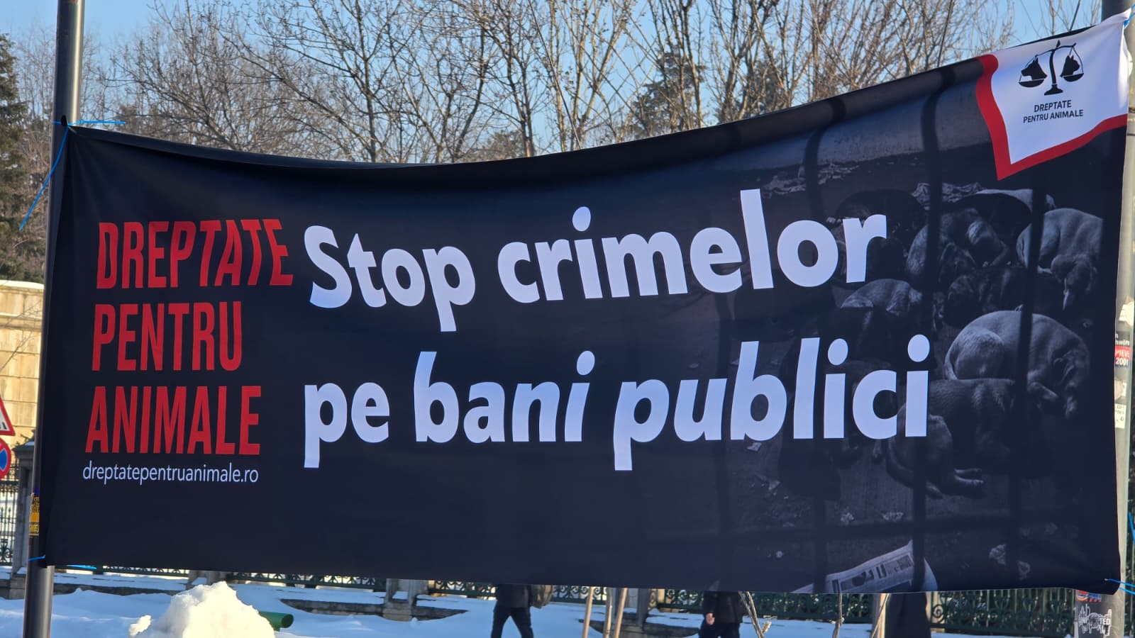 WhatsApp Image 2026-02-22 at 16.22.28 (1)