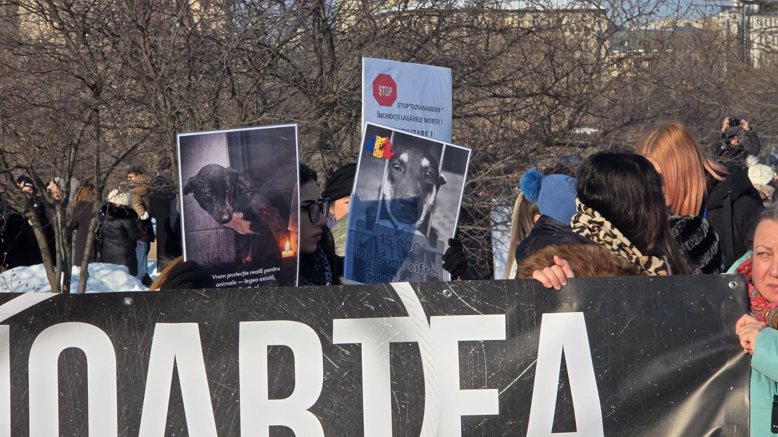 WhatsApp Image 2026-02-22 at 16.22.28