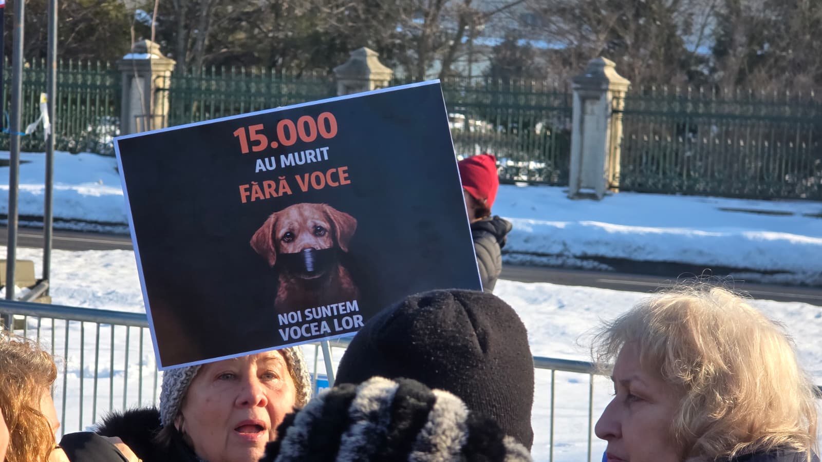 WhatsApp Image 2026-02-22 at 16.22.29 (1)