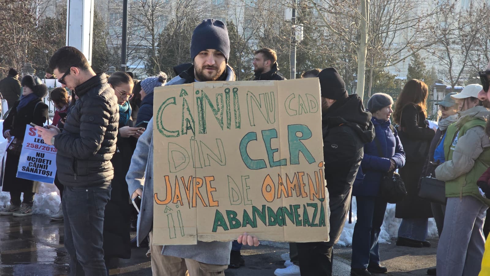 WhatsApp Image 2026-02-22 at 16.22.32