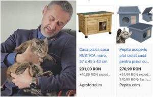 primarul Slatinei Mario De Mezzo si casute de pisici