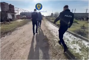 Polițiștii intervin la o fermă de animale din Prahova