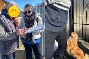 Echipele Protecției Animalelor Ilfov emit avertismente proprietarilor de câini din Snagov