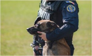 Câine ținut în brațe de un polițist