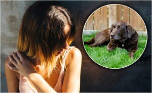 Tânără tristă care își acoperă corpul și un câine pe iarbă în fața unui gard