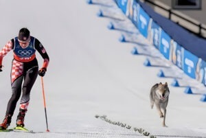 Un câine trece linia de sosire, alături de o sportivă, la o probă din cadrul Jocurilor Olimpice de Iarnă 2026