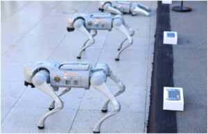 Trei câini robot folosiți de Primăria Guadalupe la Cupa Mondială FIFA 2026