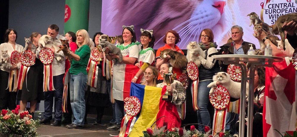 campionatul-european-graz-2026