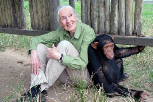 casa-animalelor-Jane-Goodall