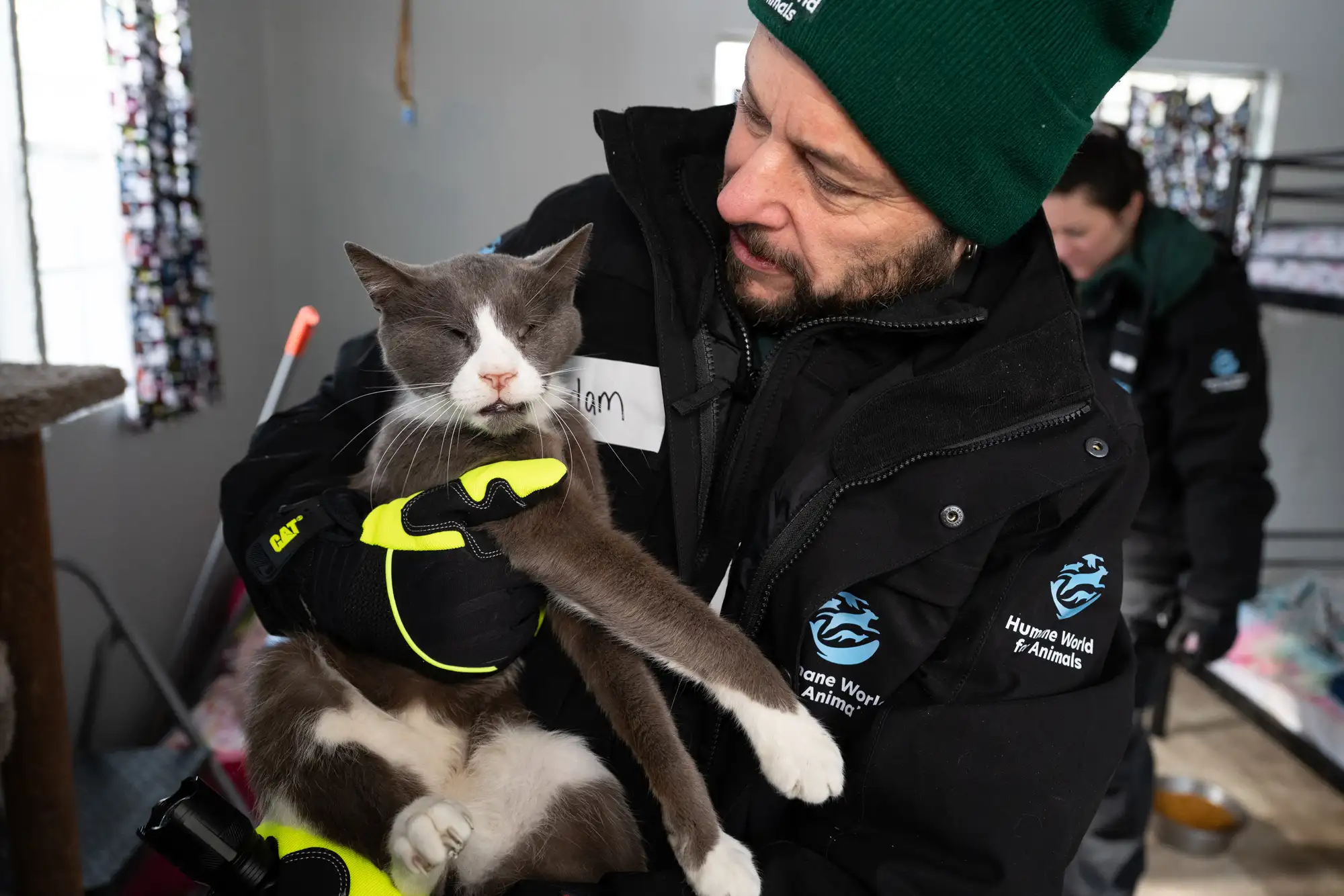 cats-rescued3-22626-11f17b8c396f41589d7d7c516b941e87