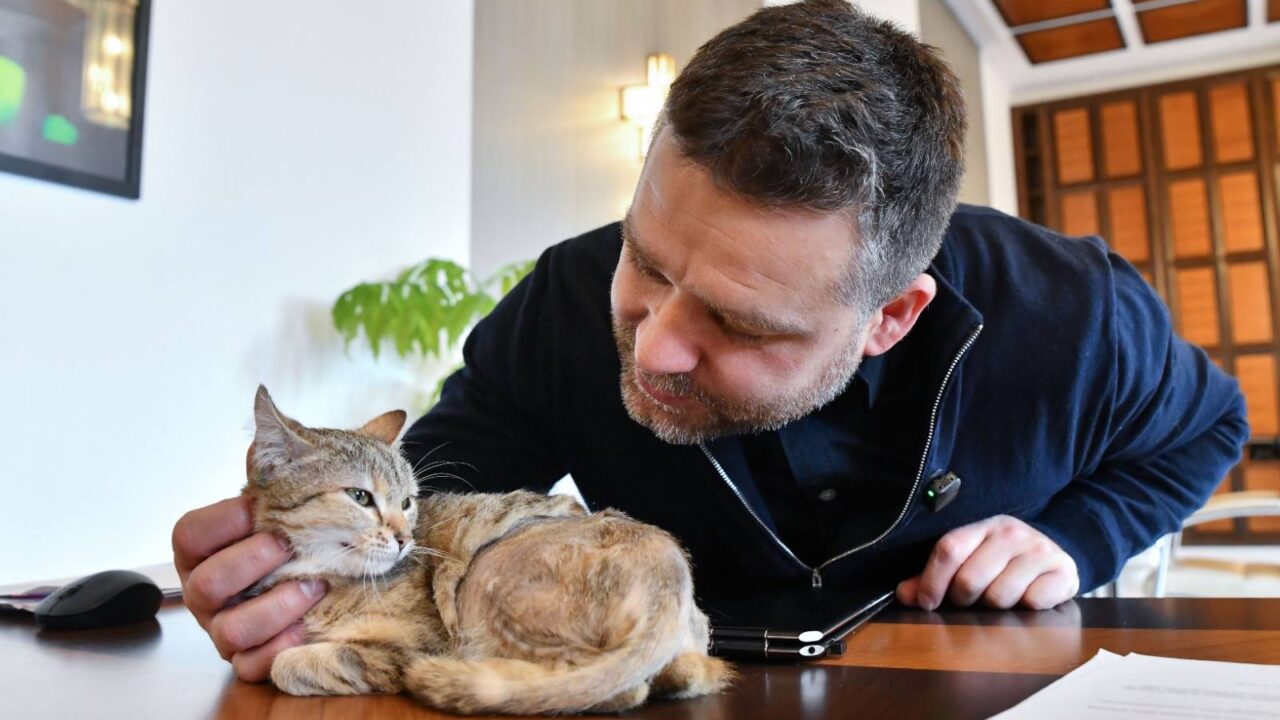 Ciprian Ciucu și noua pisică de la Primăria Capitalei