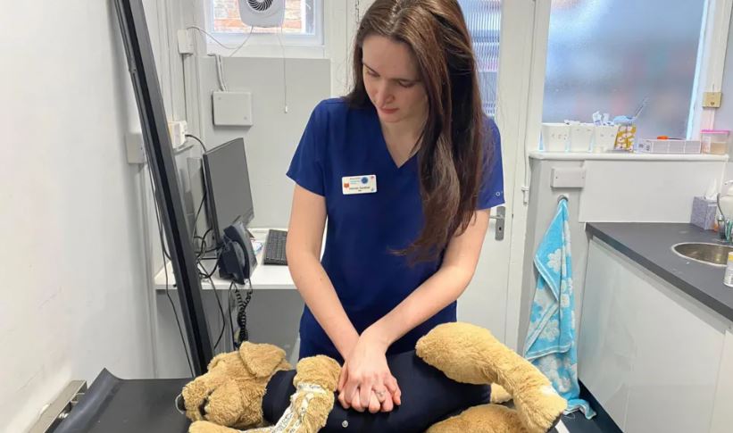 Un medic veterinar arată cum se face manevra de resuscitare la câini