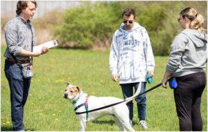 caine in lesa si trei oameni in jurul lui