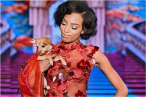 Model pe podium ținând în brațe un câine îmbrăcat asortat